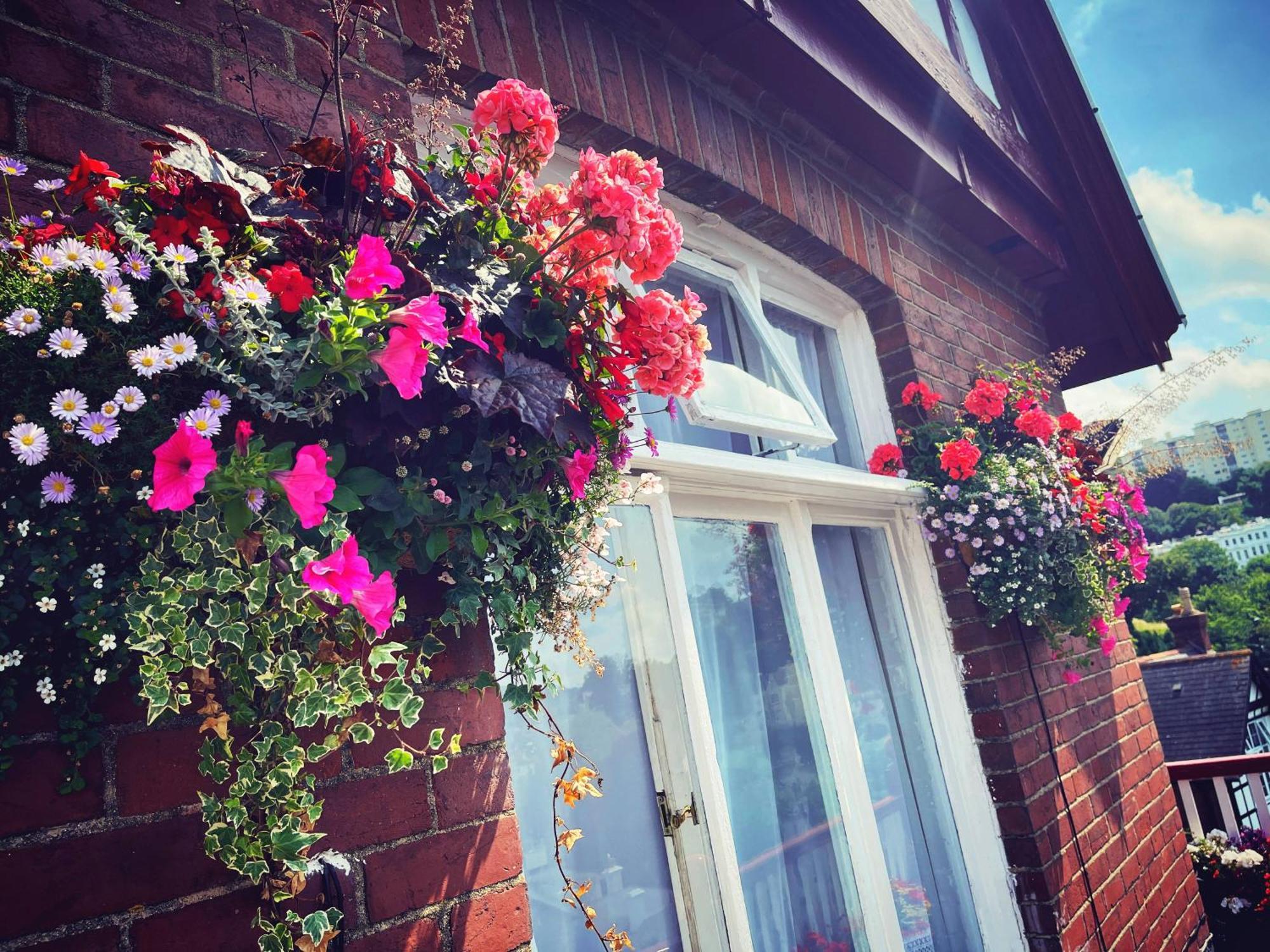 The Robin Hill Bed & Breakfast Torquay Luaran gambar